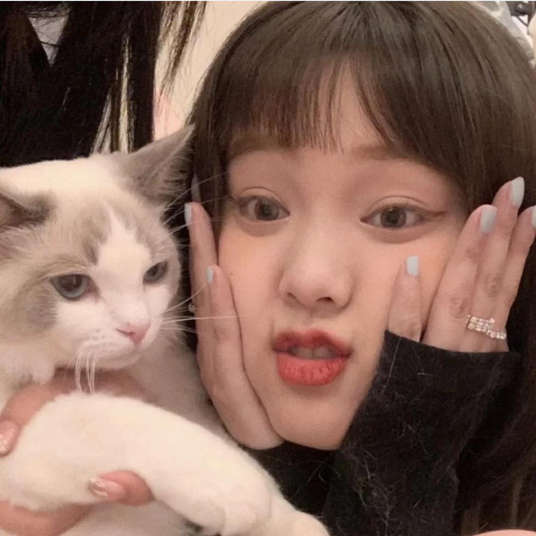 咩咩来啦！🐏