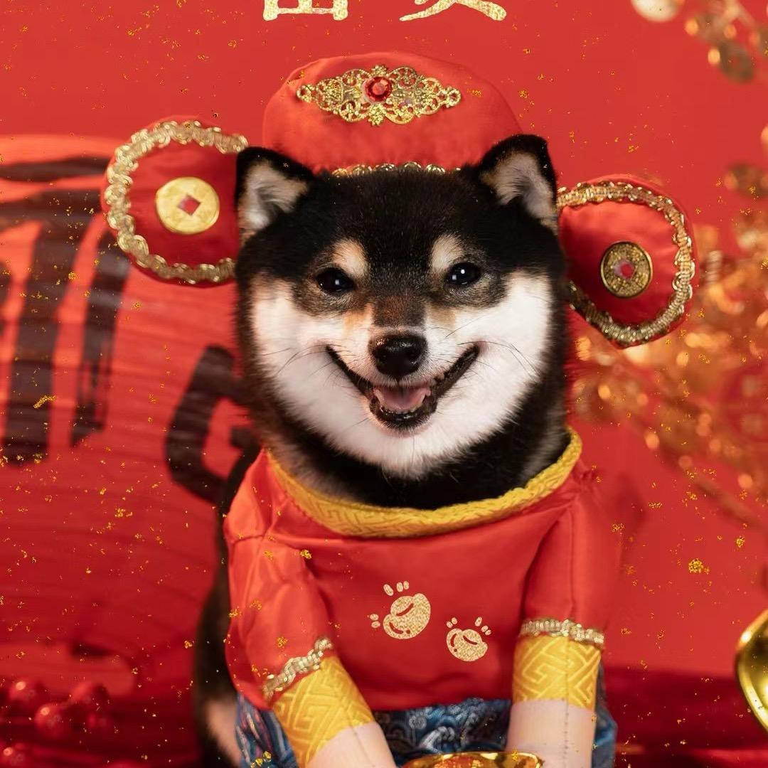 狼来了单身