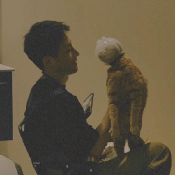 南东的养猫生活