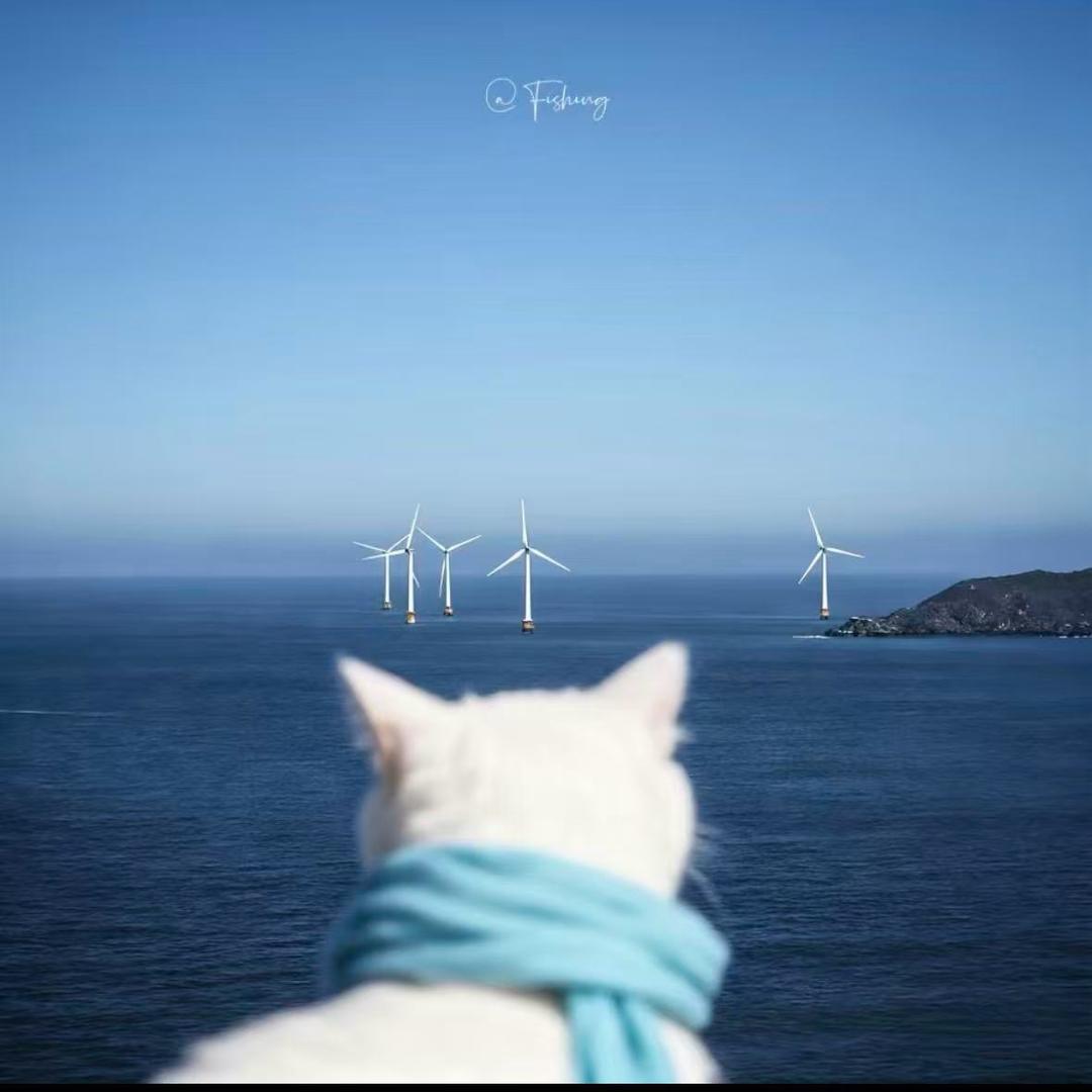 痕迹