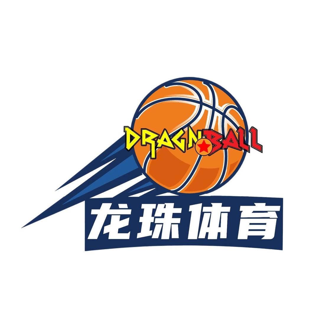 龙珠体育