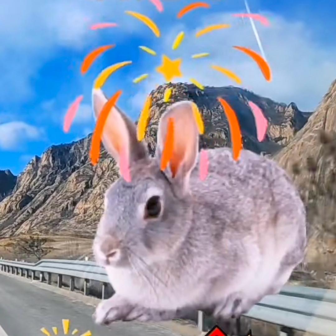 幸福的吉祥兔