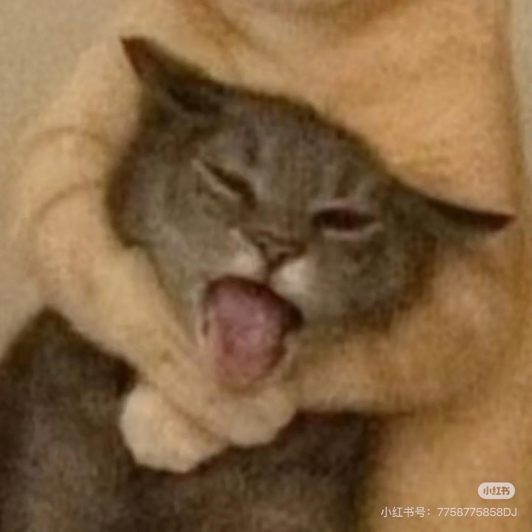 张雨桐.阿姆斯特朗图鲁夫斯基