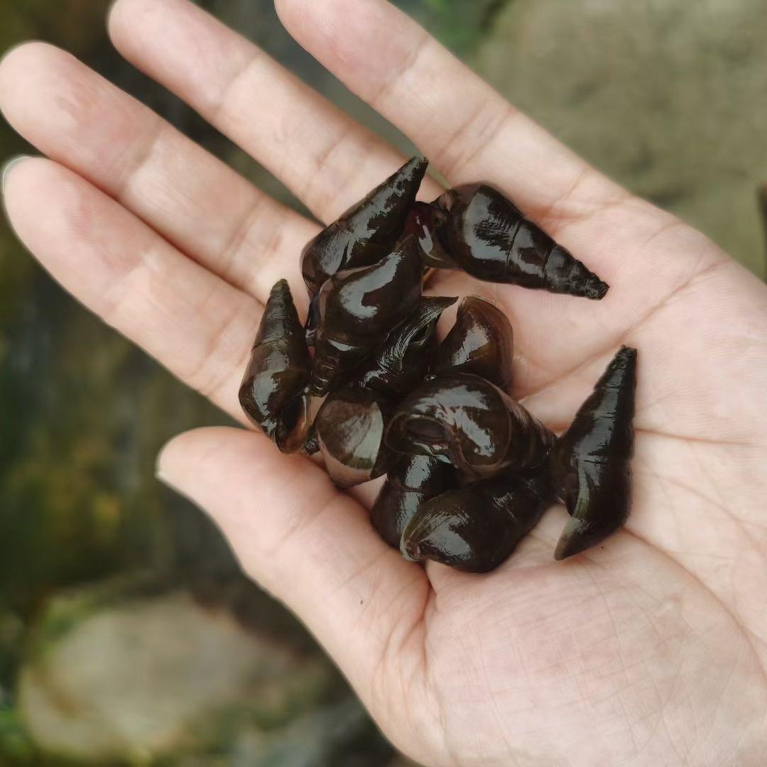 河源市自然凉河鲜酒楼