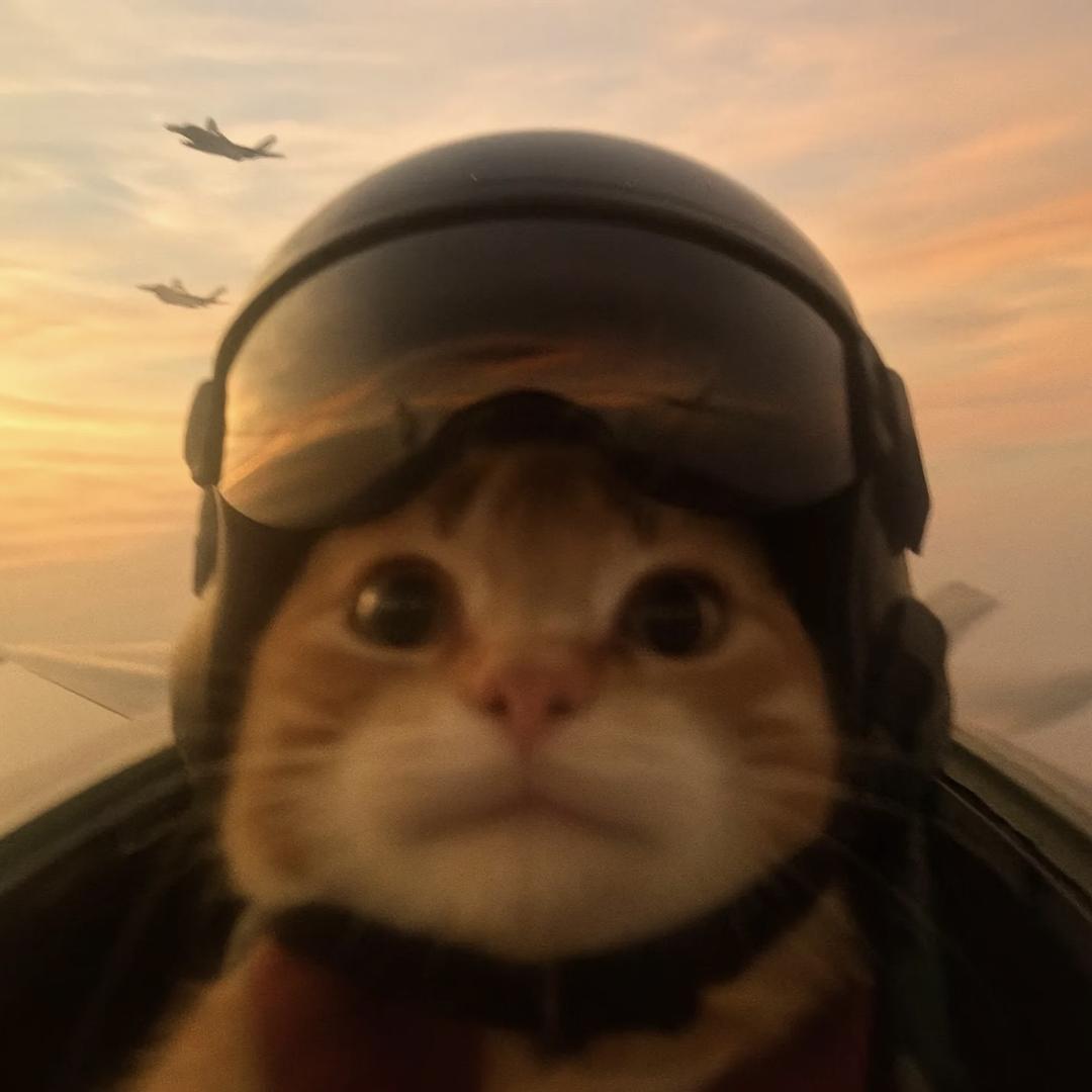 有钱人多我一个不行吗