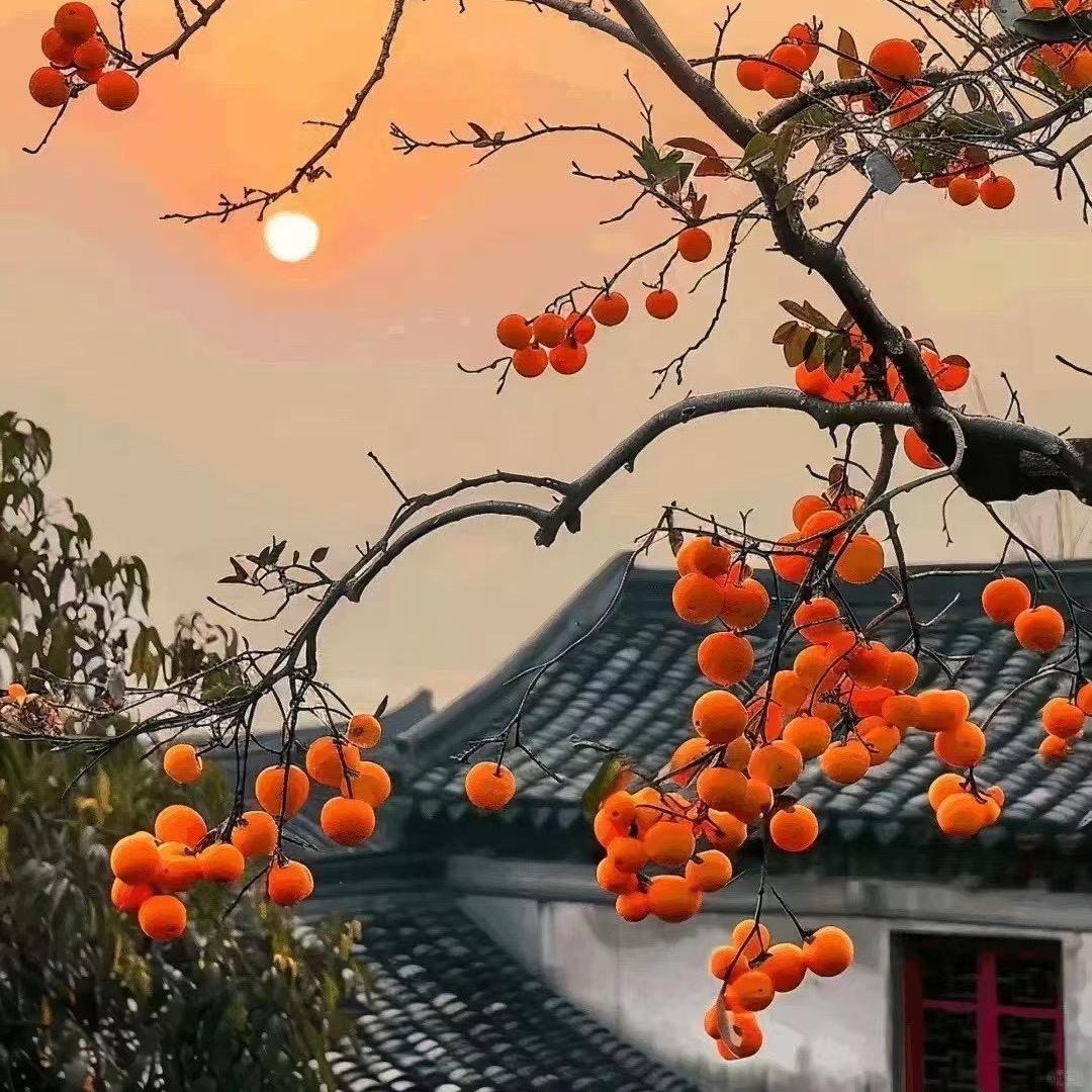 云水禅心