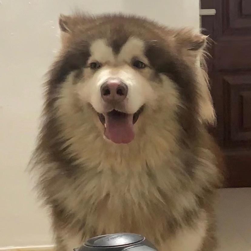 细弟弟