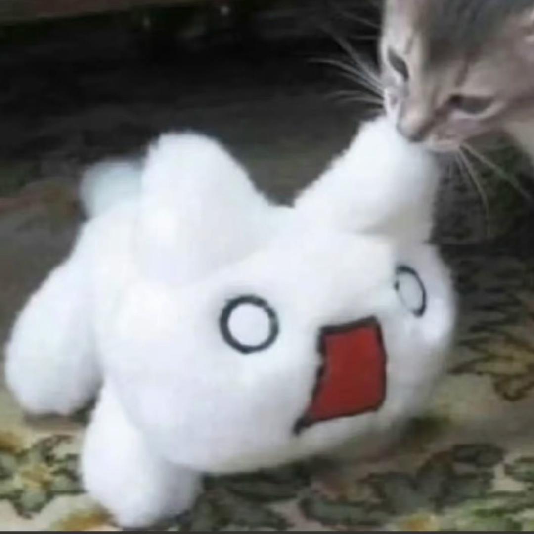 yy