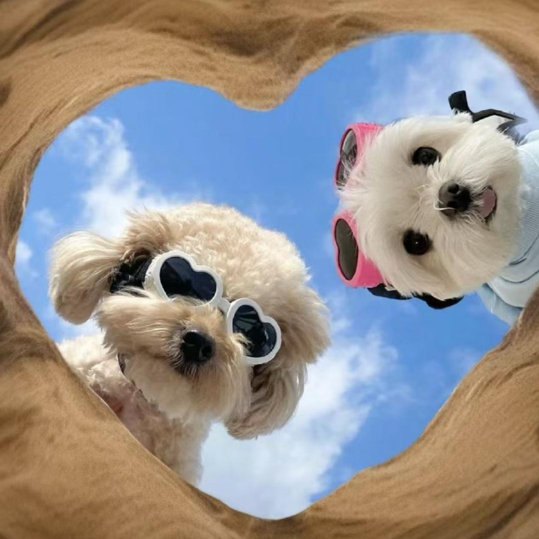 一二三好物甄选