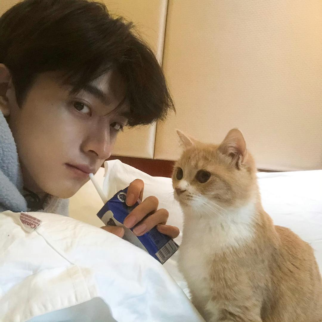 鸭屎香味煎饼果子