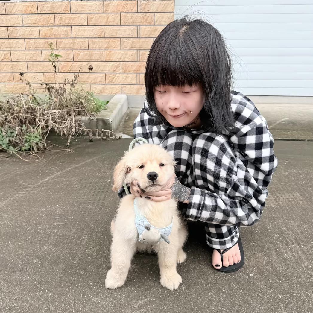 像你这样的人也会流泪吗