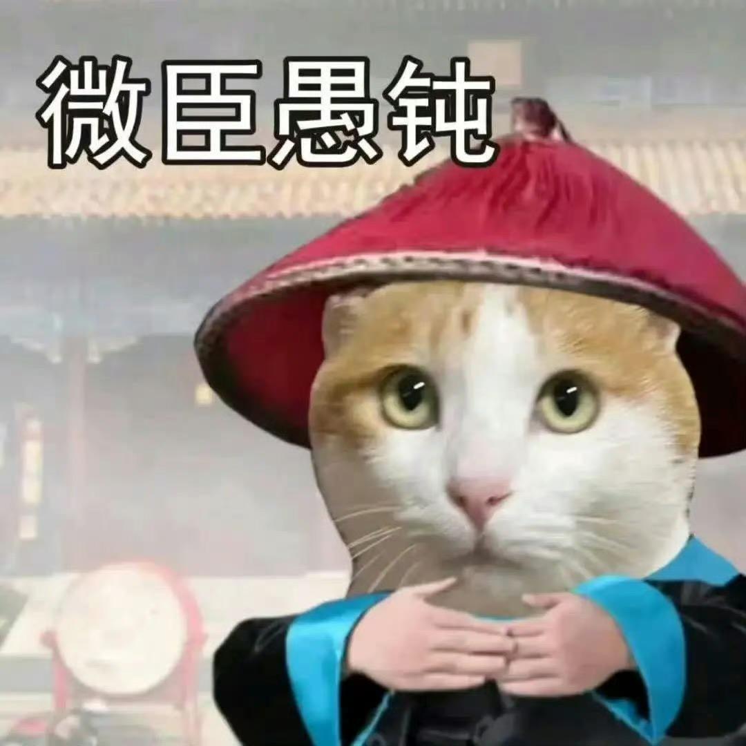 莫有鱼丸（已毕业版）