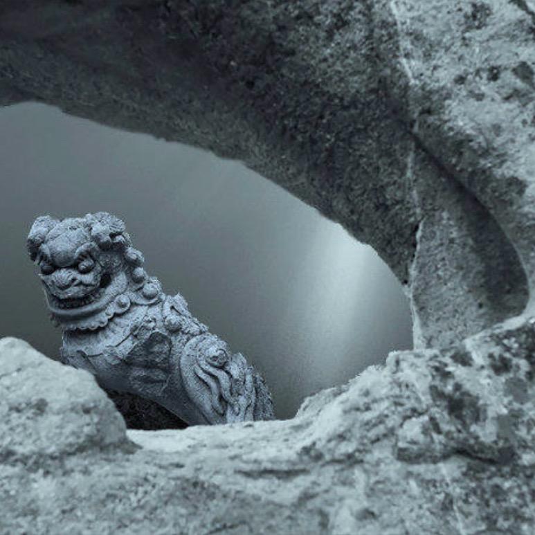 与器为伴