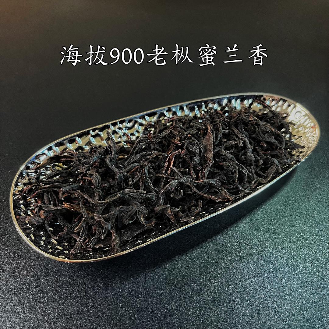 表哥家凤凰单丛