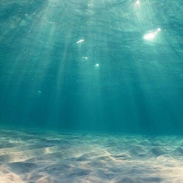 大海无量头像