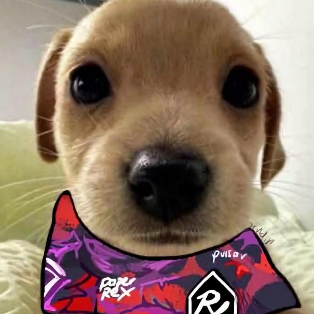 陈泽-
