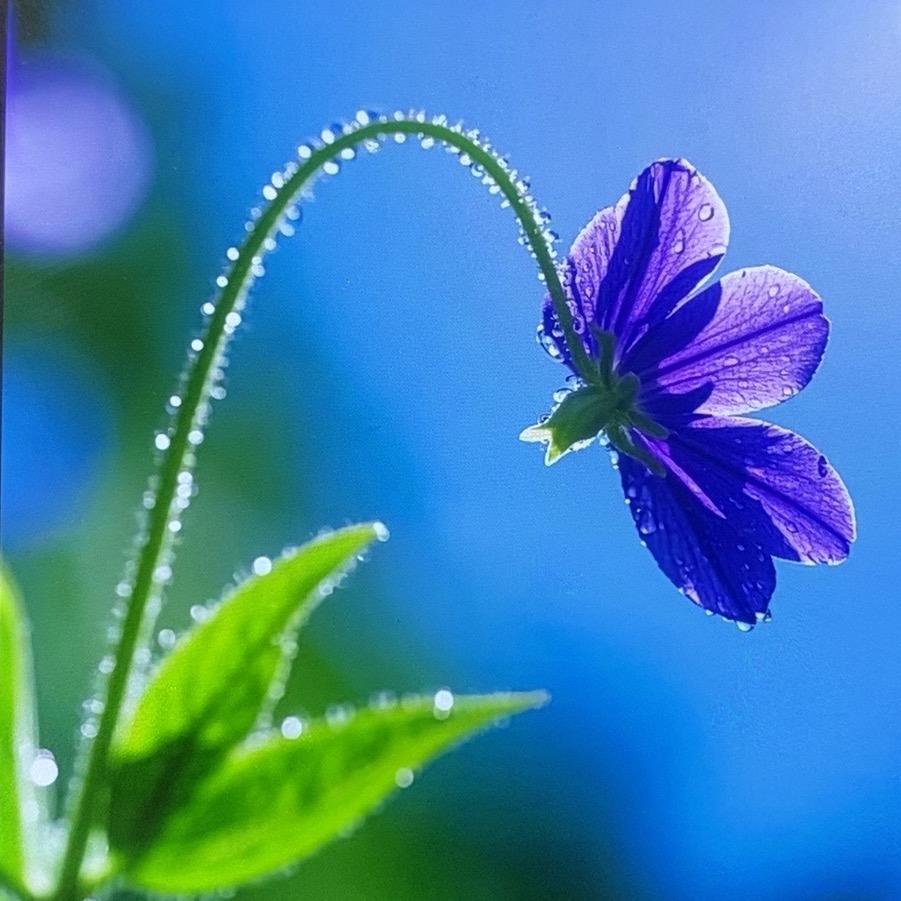 道倍道优选百货商行