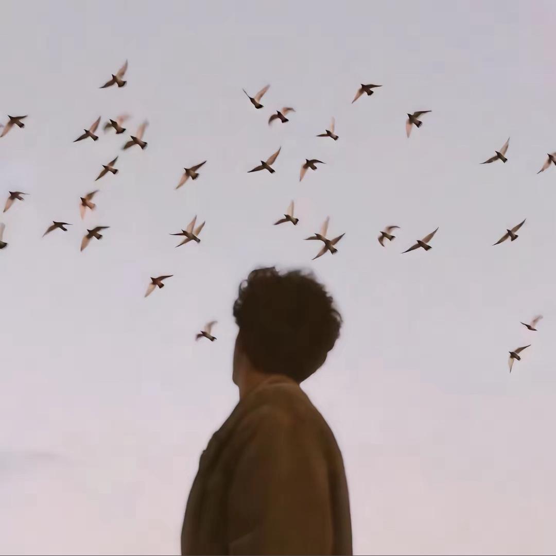 不错的被子