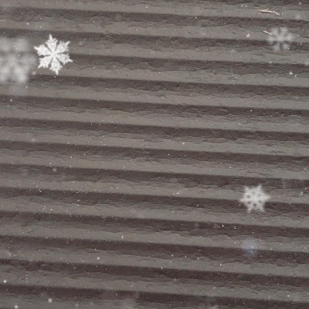 格格屋
