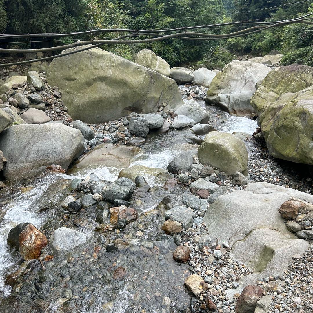 平平淡淡才是真