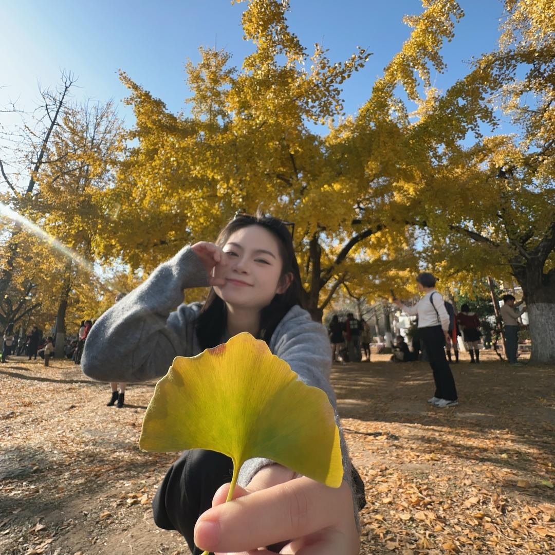 达不理