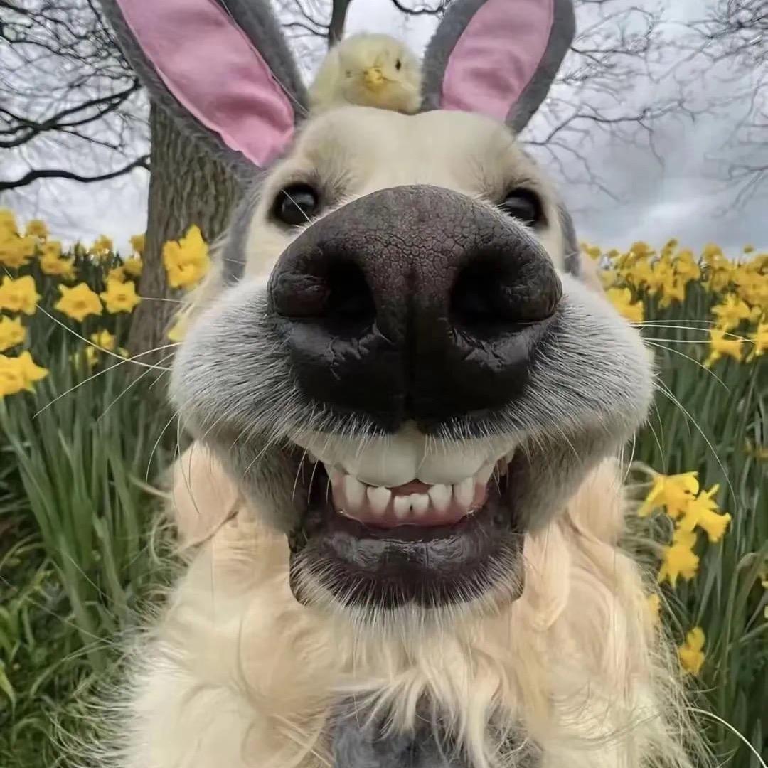 不喝草莓味儿的雪碧