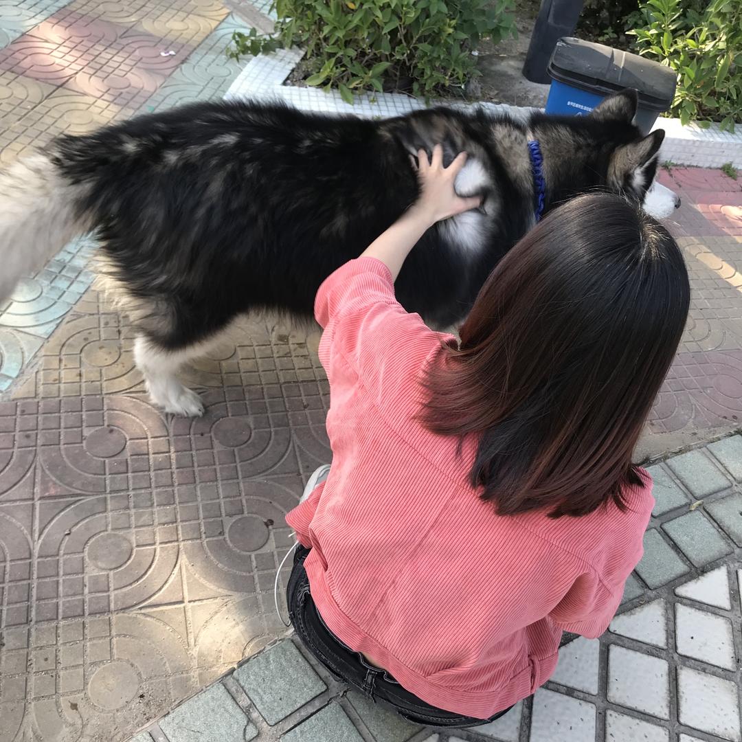林育萍
