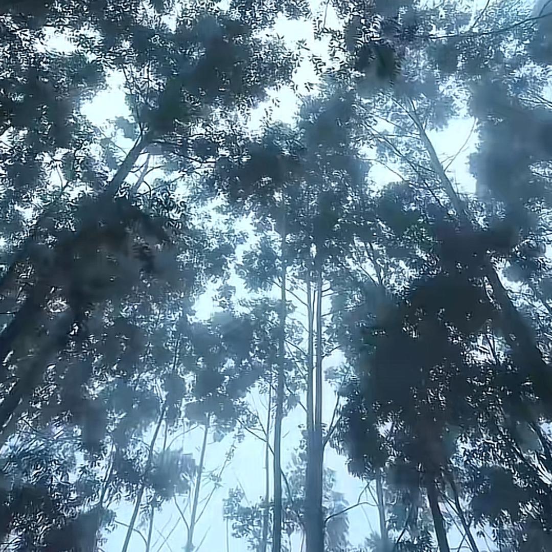 Здравствуйте