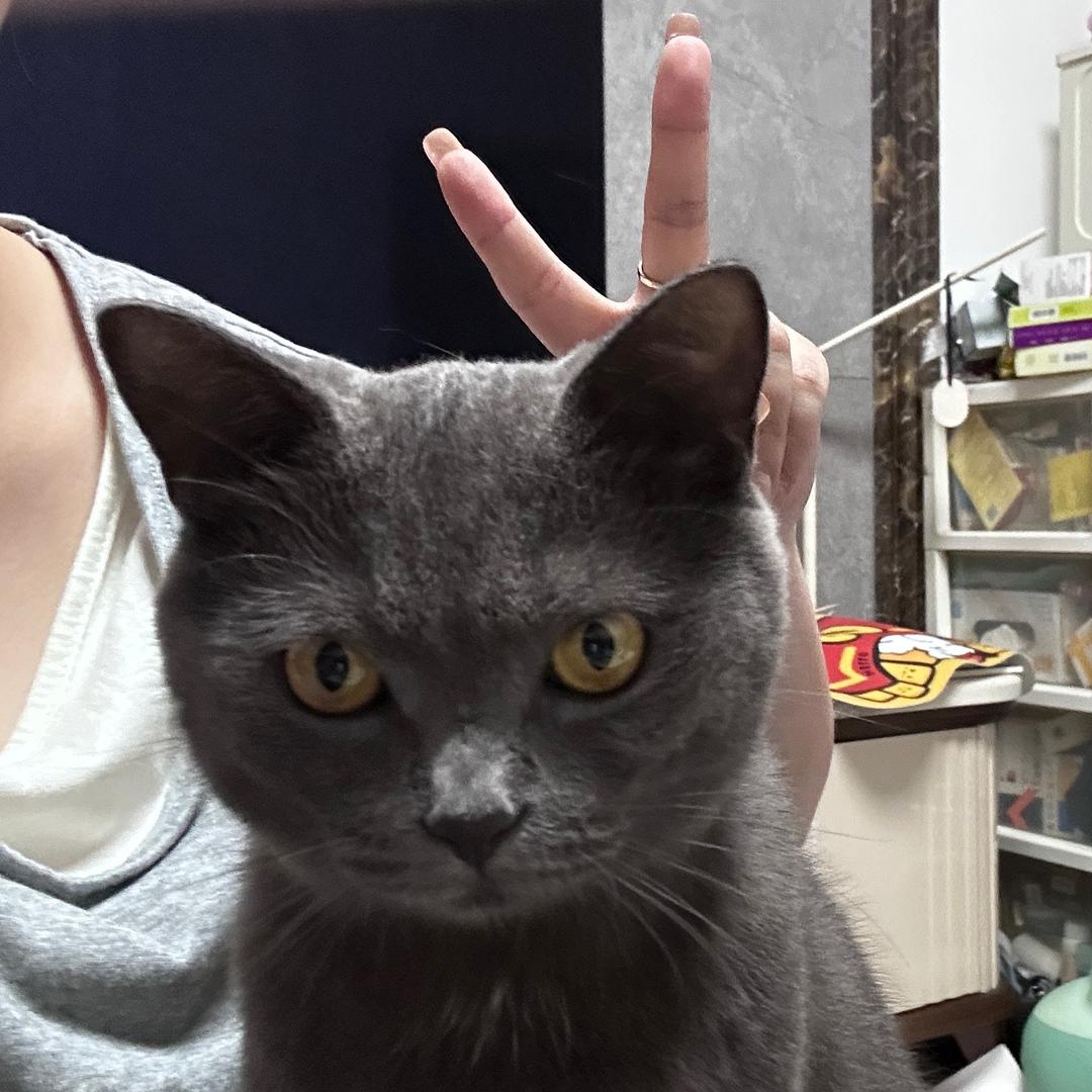 小小便儿