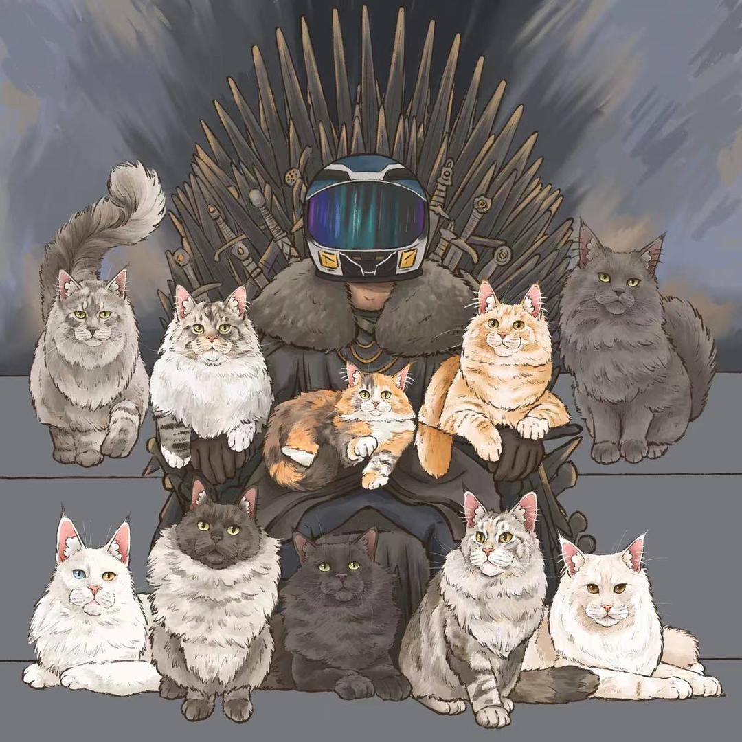 王小胖的缅因猫