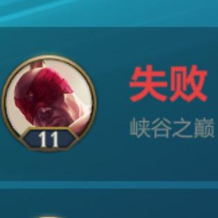 紫霞盲僧(电刑盲僧辅助创始人)专坑自己人