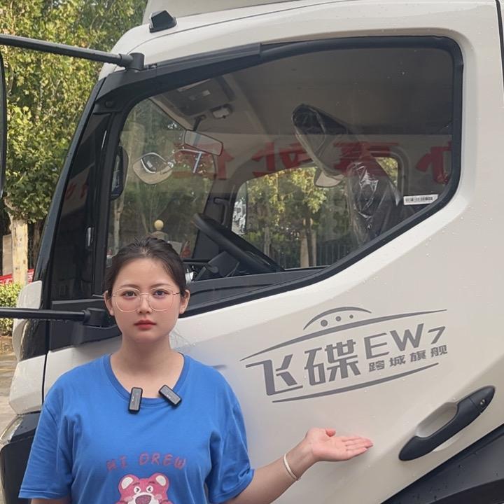 河南飞碟新能源