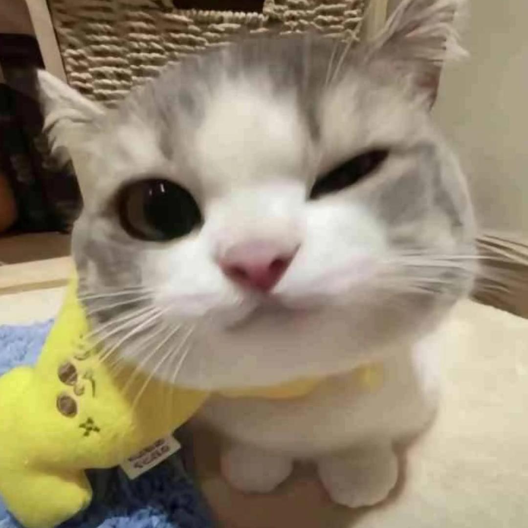 一只娛.