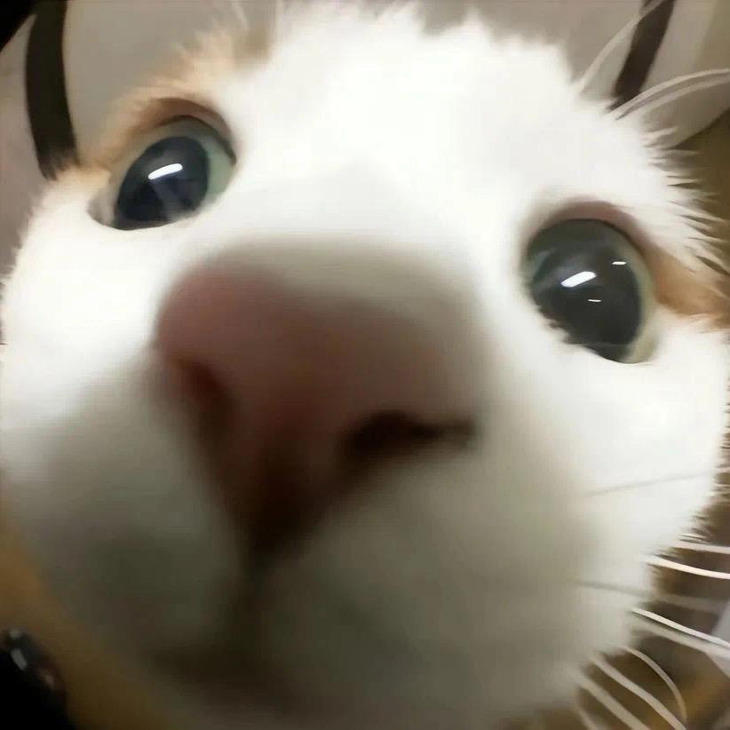 用户765946978980