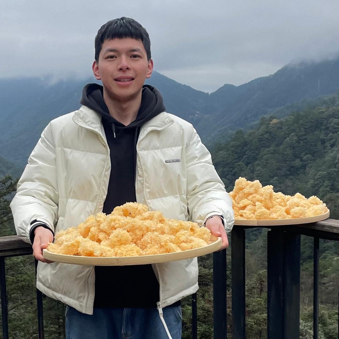 我的菇乡朋友