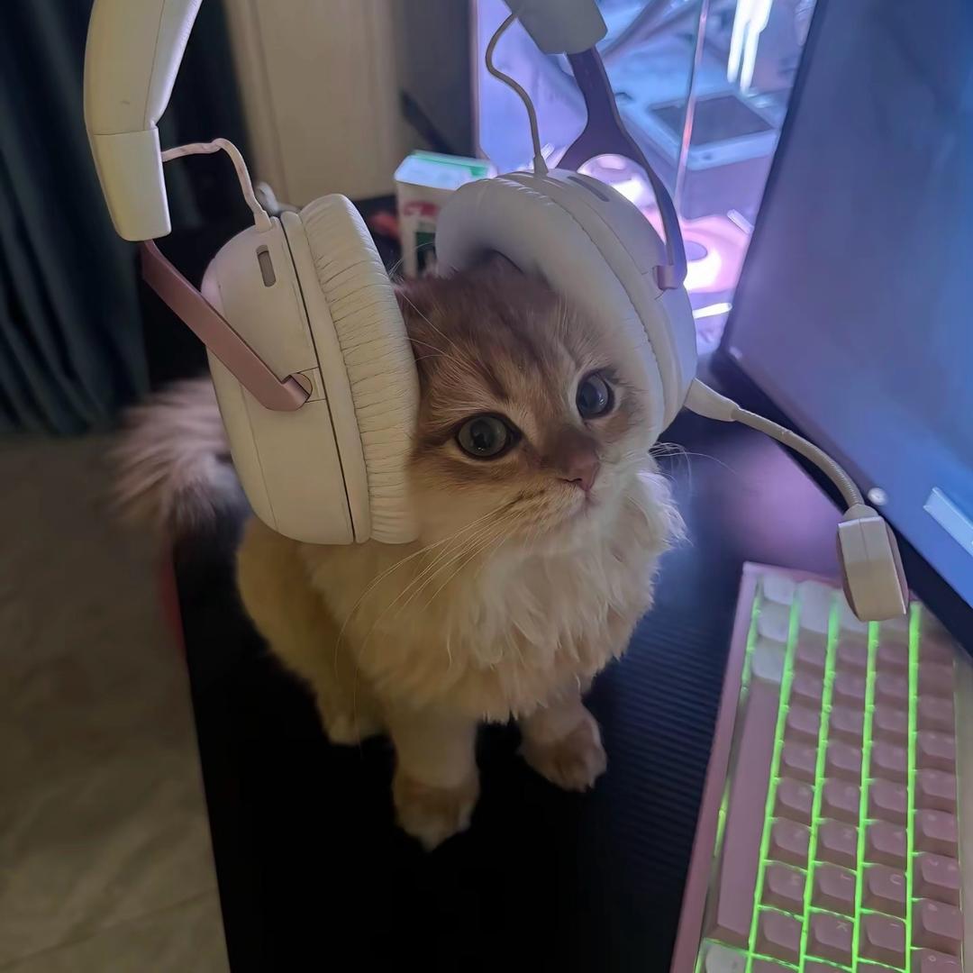 yuii7