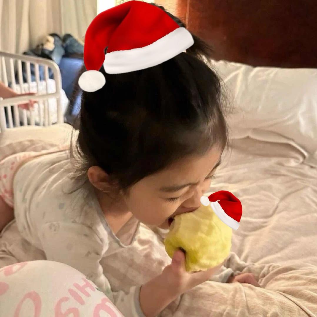 要把全世界种满香菜