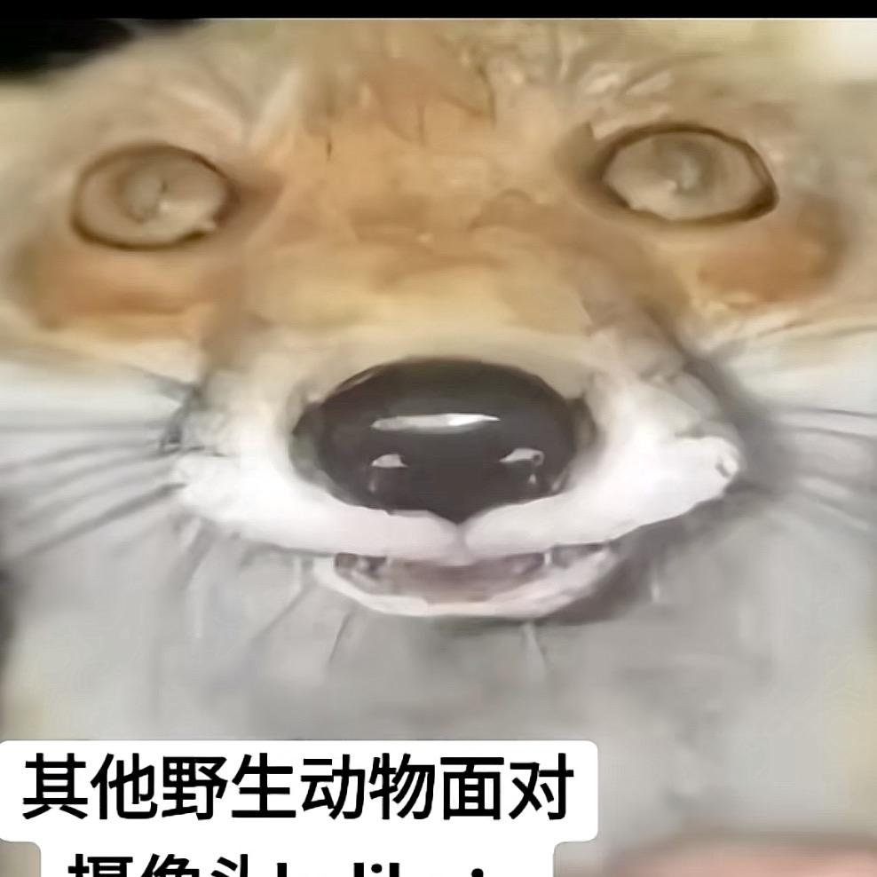 迷你世界若樱
