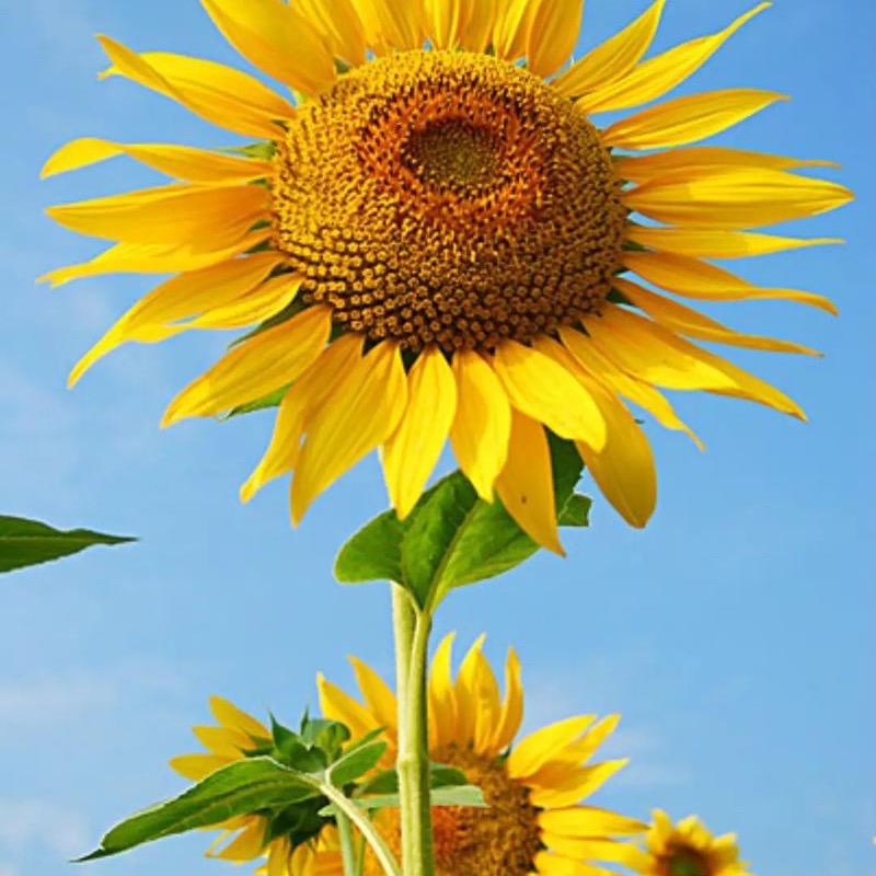 泉山区立珠百货店