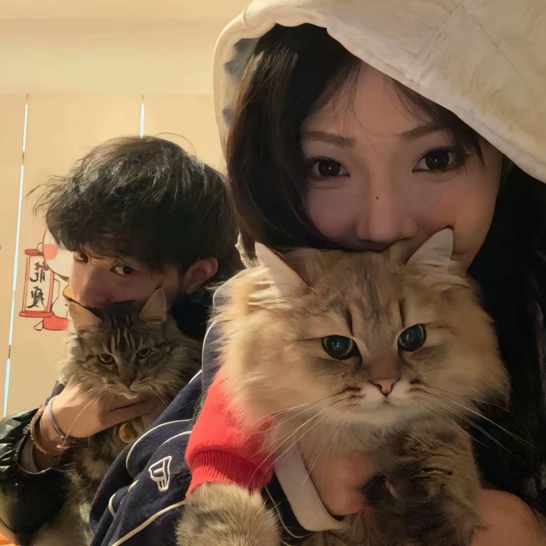 七安～