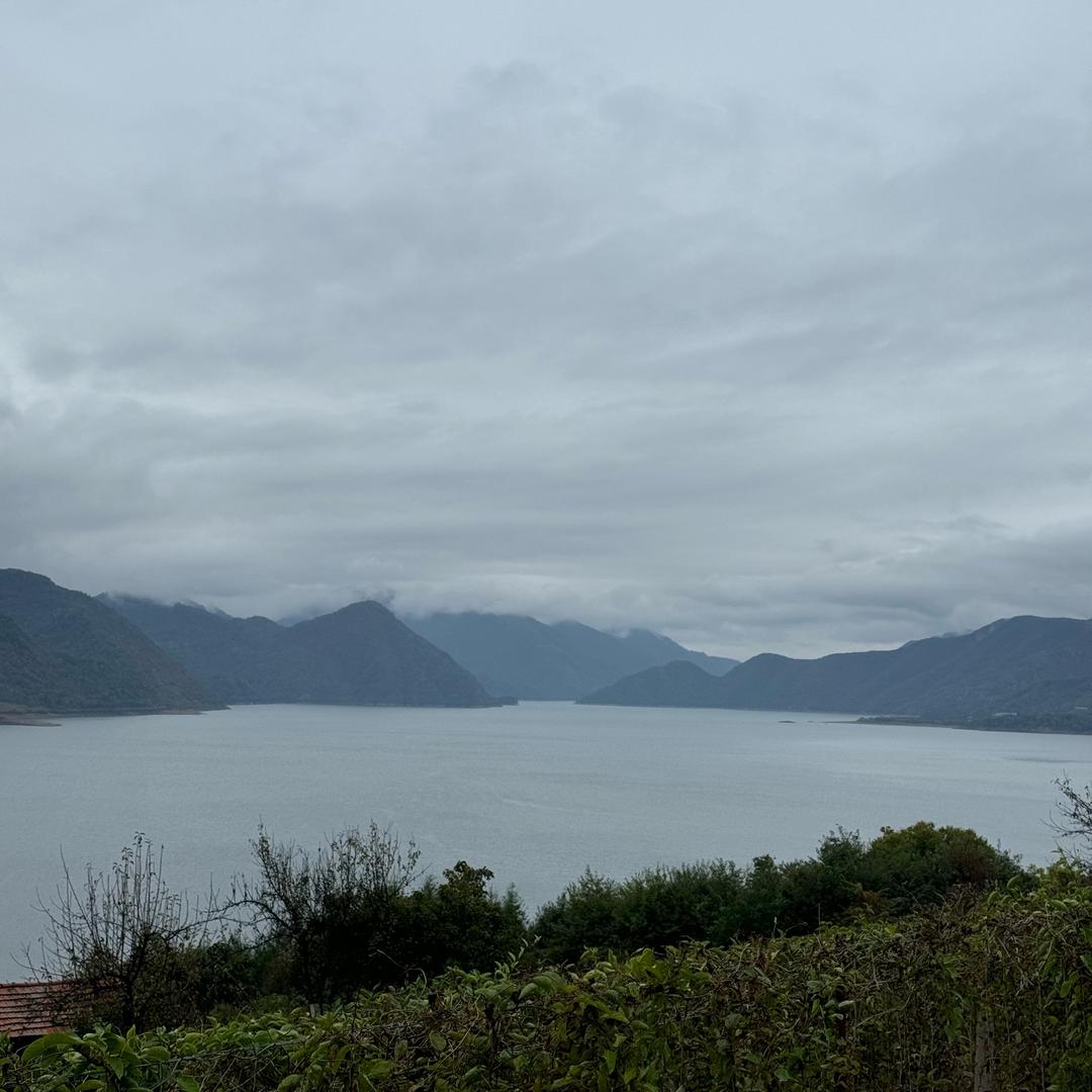 小时候骑过驴🫏