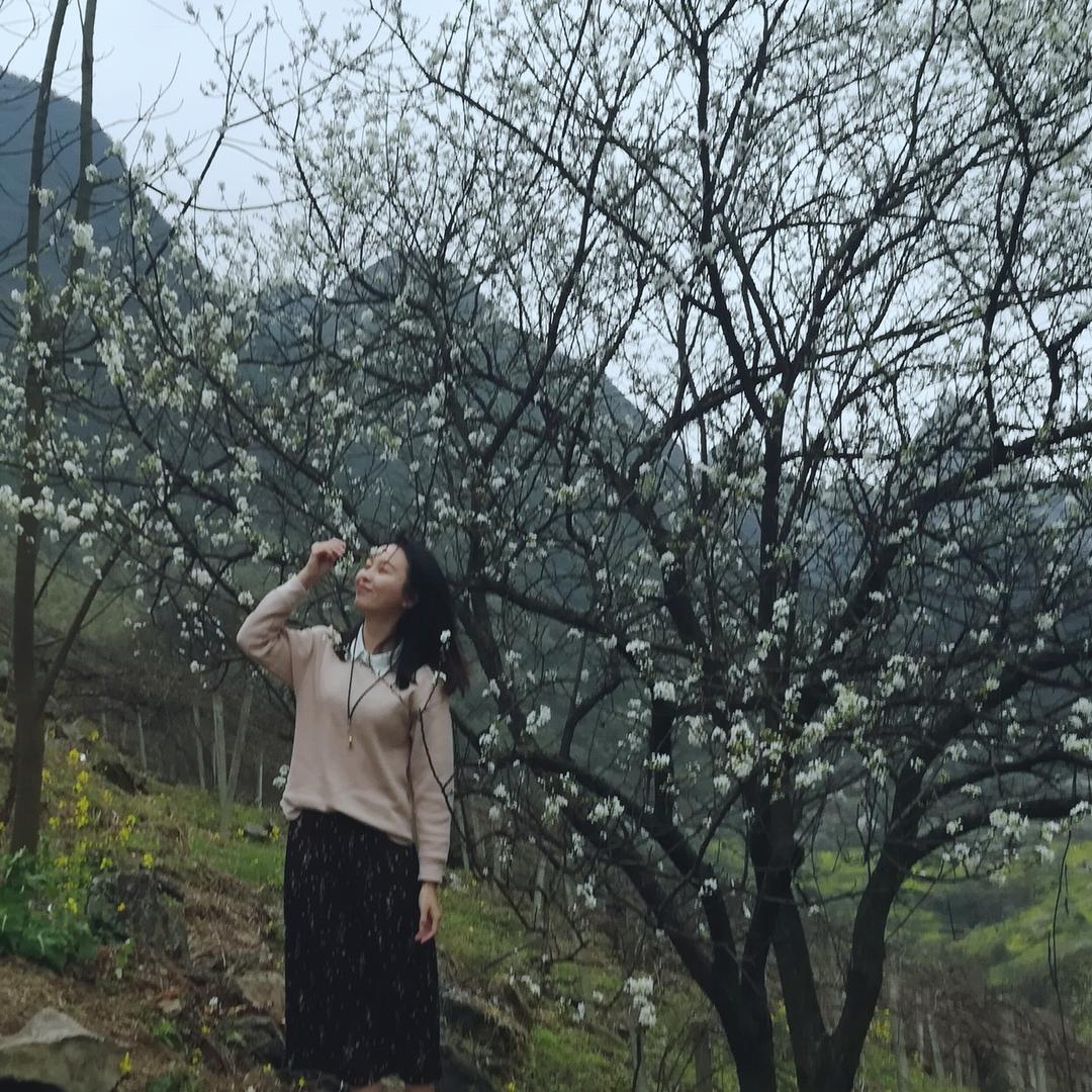 梅子🍒青时雨…