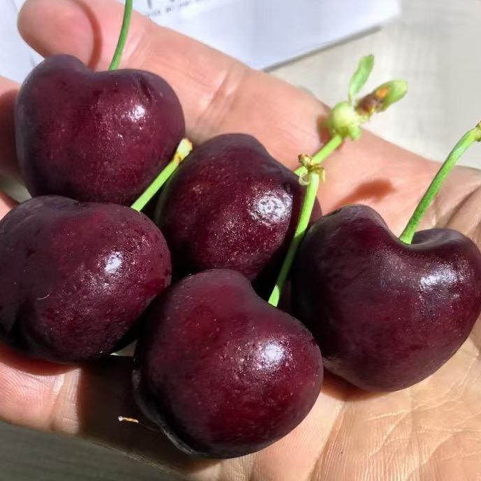 丽姐水果(榴莲)