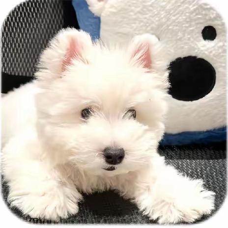 小小小赵咯👣