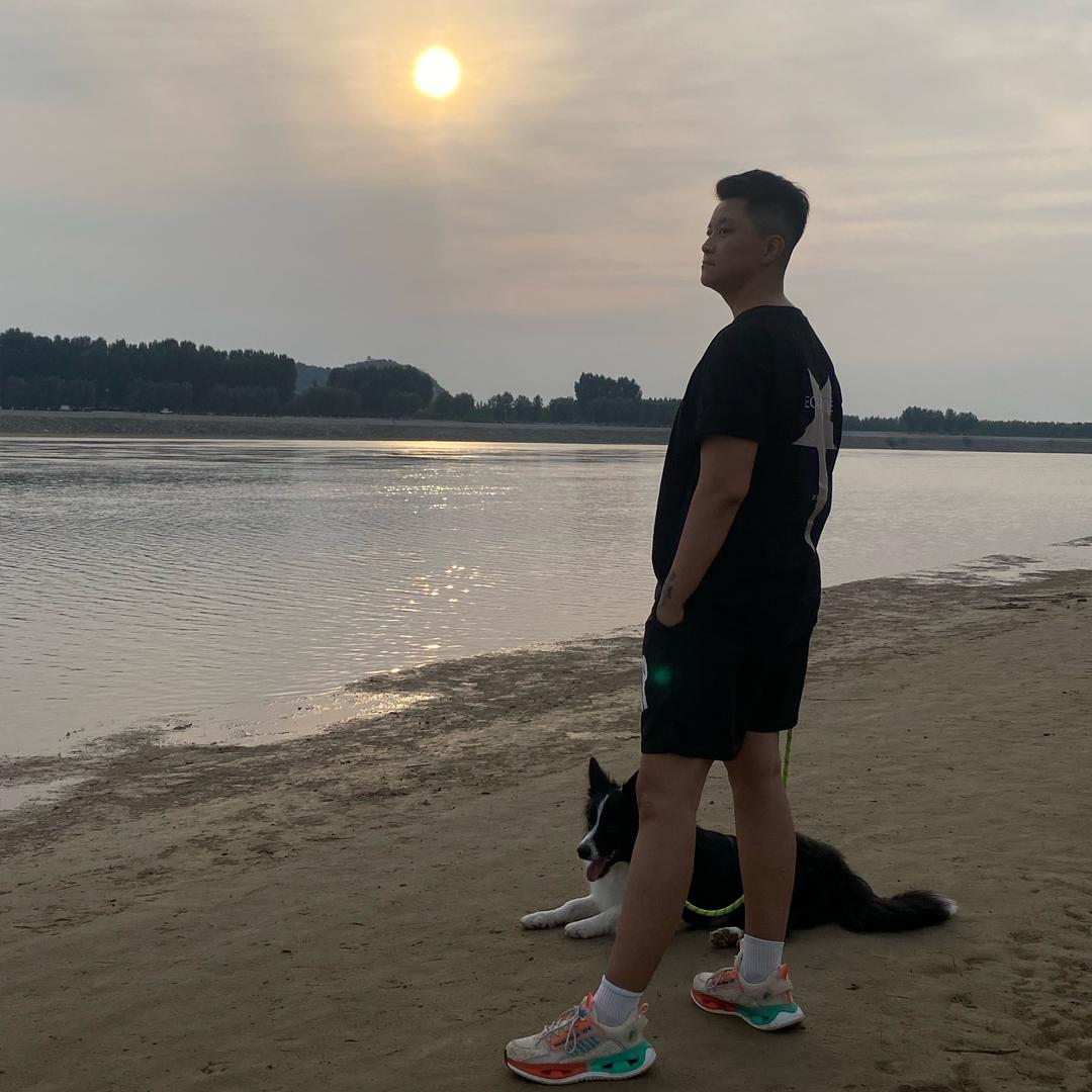 大亮和狗子们
