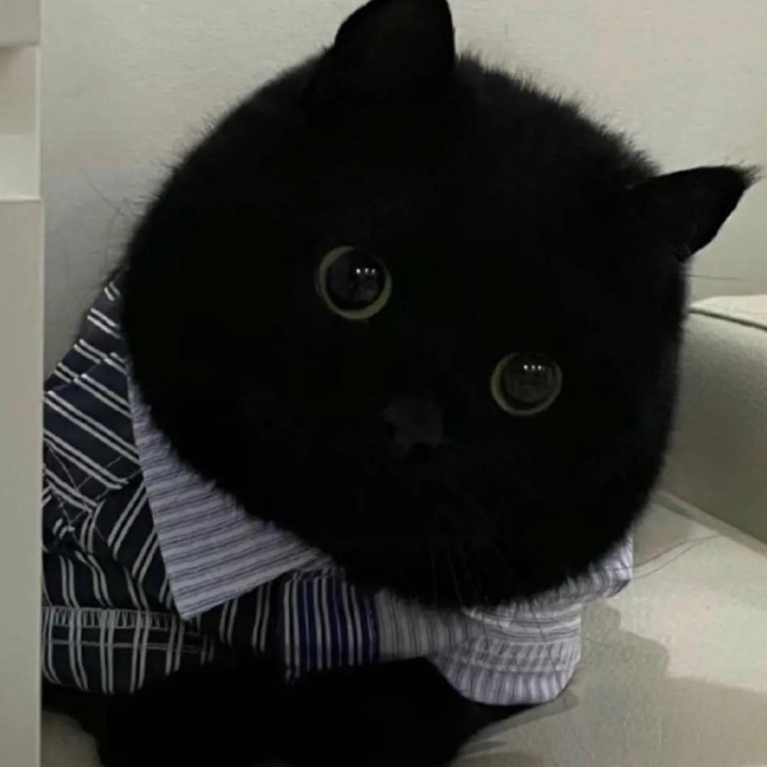 长春纹身师舟—DJT