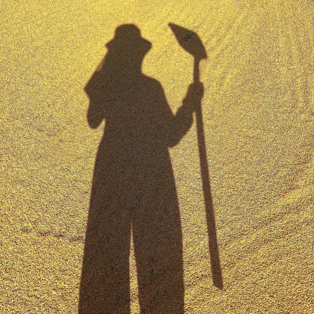 喜欢肖战的第十年