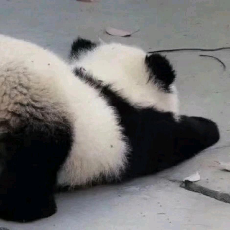 八月份的前奏 . ゛