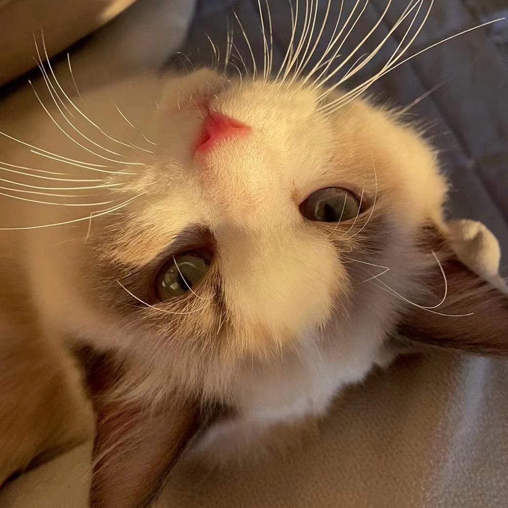 小怂要暴富💰好运💗欧气满满💕