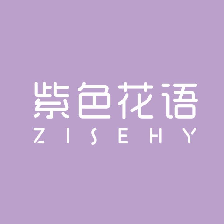 ZISEHY内衣旗舰店